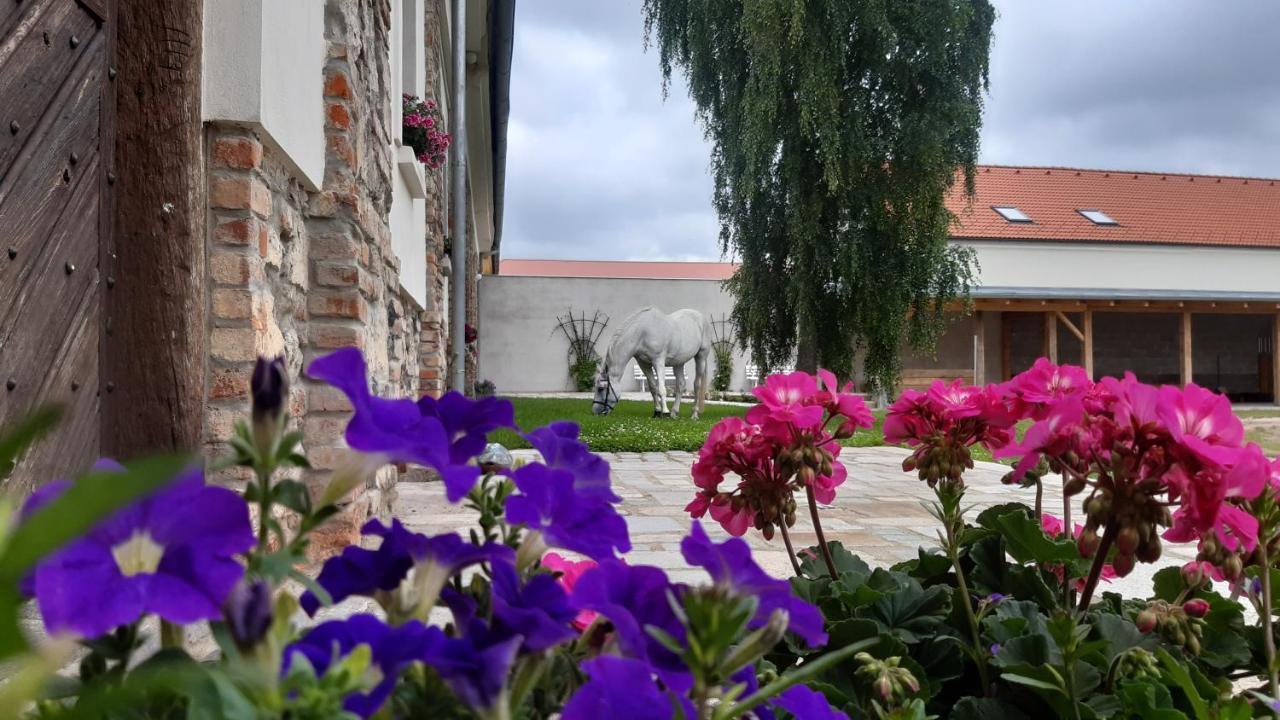 Апарт отель Korn-Hof Kornatice Экстерьер фото